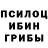 Псилоцибиновые грибы Cubensis Syeda Shifa
