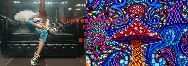 apvp Вязники
