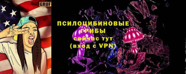 apvp Вязники