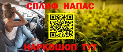 дмт Краснодар